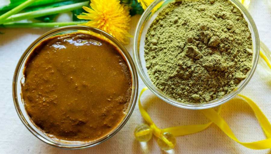 ¿Qué es la henna hindú? Compra Ahora I I Sidharta Internacional