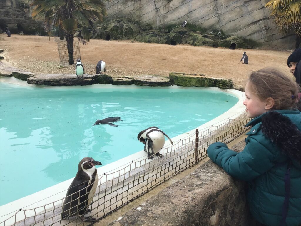 Year 1 at The Cotswold Wildlife Park Sidney Stringer Primary