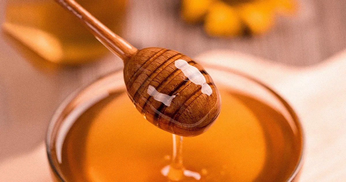 DOES HONEY EVER GO BAD? WHAT YOU SHOULD KNOW Bevwo