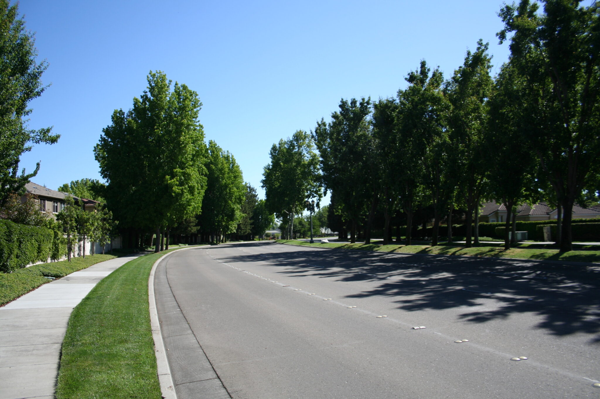 Brookside Estates, Stockton Siegfried Engineering