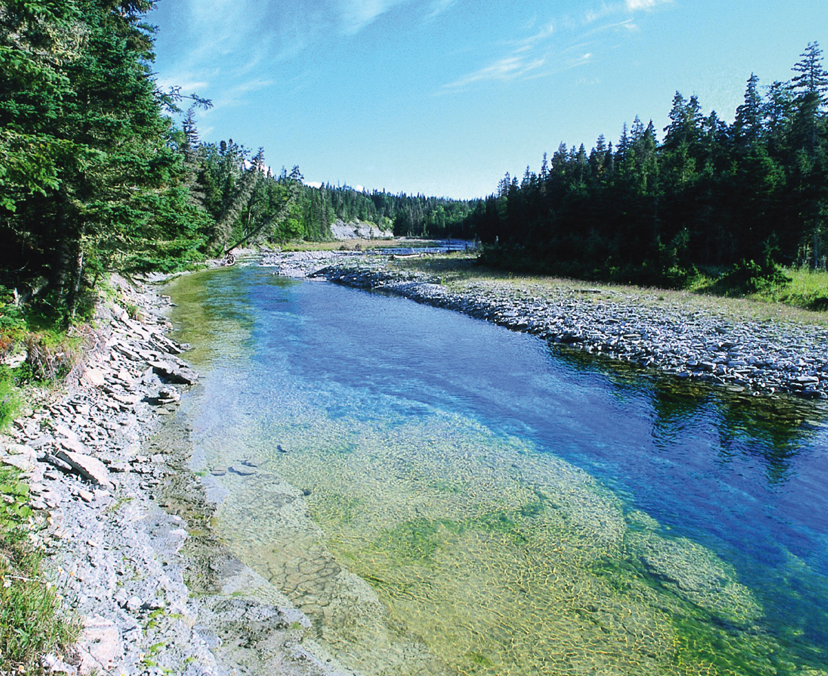 Anticosti, L'île mystérieuse 2021 Siel Canada