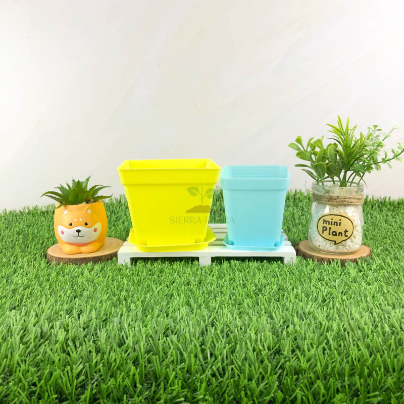 10pc Assorted Plastic Garden Pots Sierra Flora