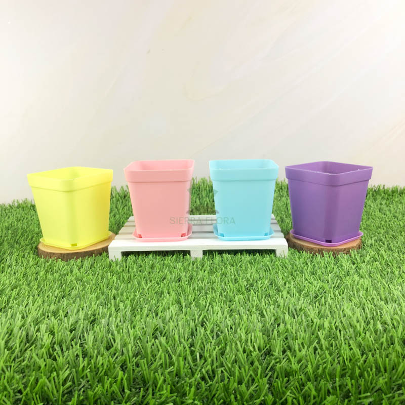10pc Assorted Plastic Garden Pots Sierra Flora
