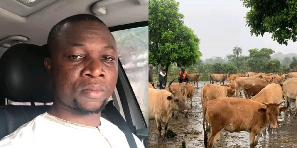 State House Communications Manager Reveals Cattle Ranch Success in Five