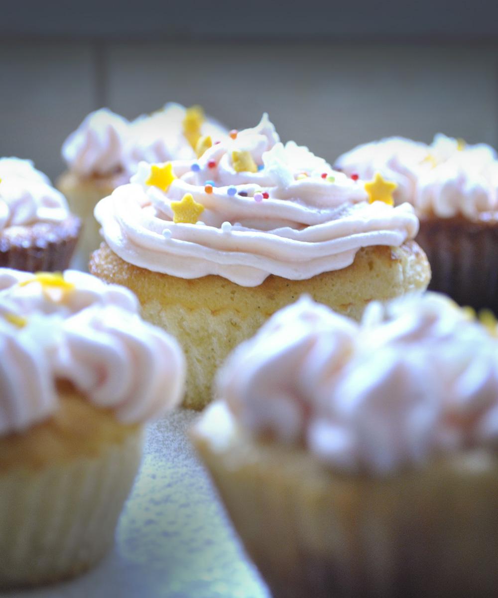 Vanilla Cupcake Scented Candle Sierra Mountain Candle Co