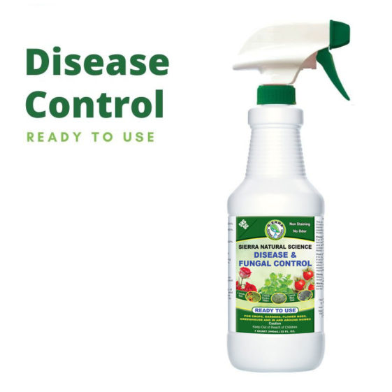 Get the best natural fungicide available for outdoor garden