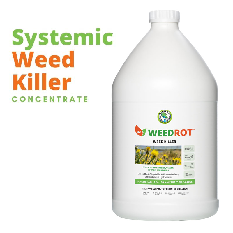 How does weed killer work? SNS Blog