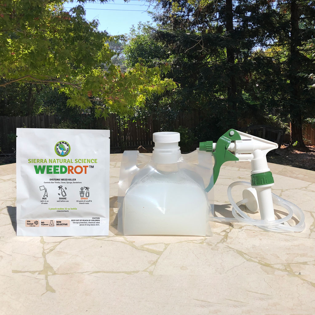 Get The Best Natural Weed Killer from SNS WeedRot Concentrate