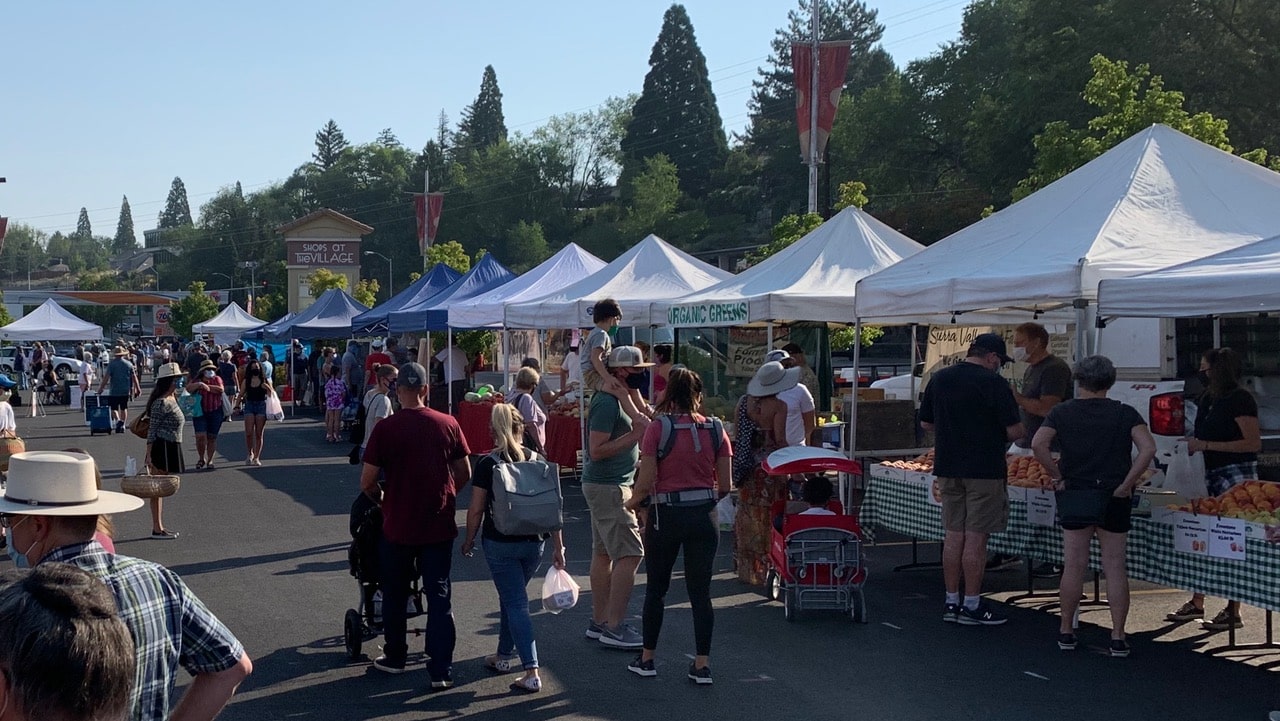 Regional Farmers’ Markets survive and thrive during the 2020 summer of