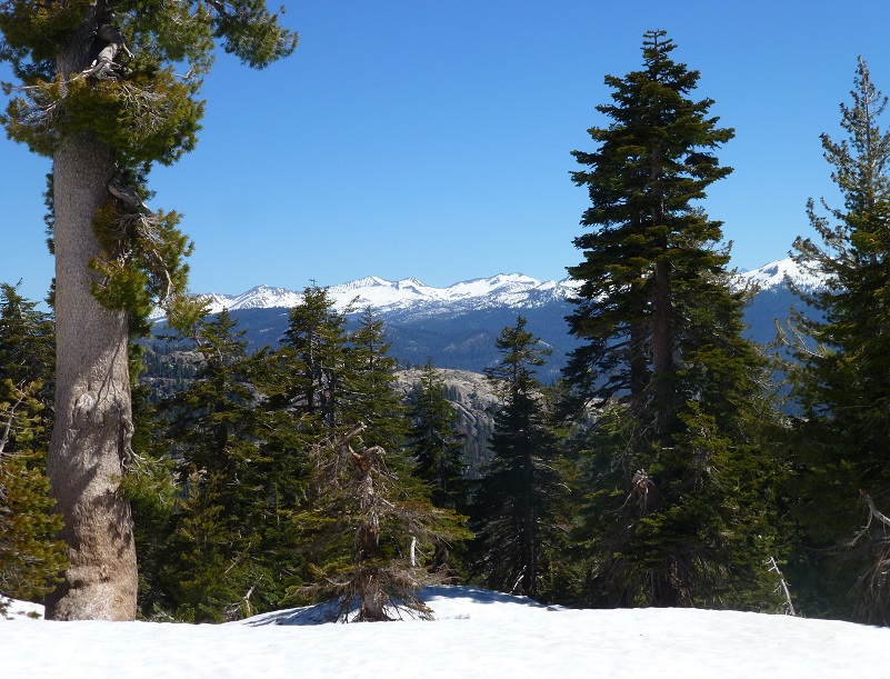 Hiking up to Little Shuteye Peak Sierra News Online