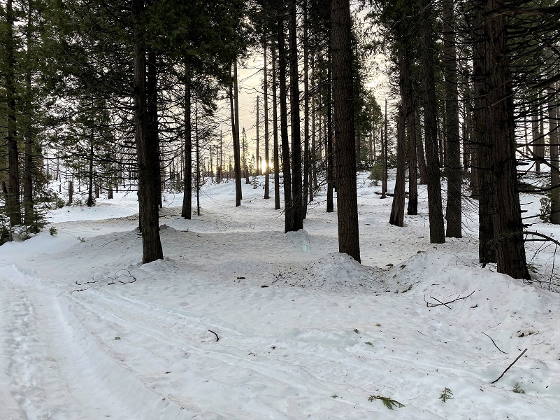 Snowshoeing In Fish Camp From The Tenaya Lodge Sierra News Online