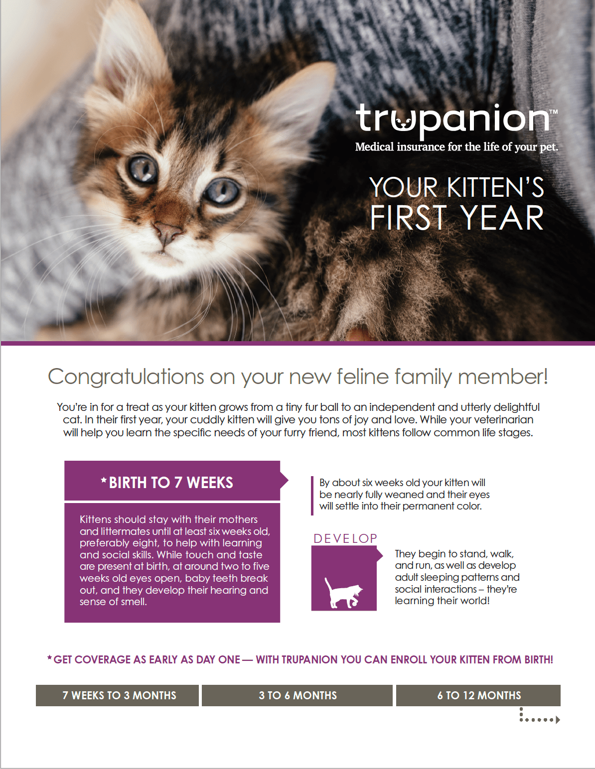 Does Pet Insurance Cover Neutering / Pet insurance vs. pet
