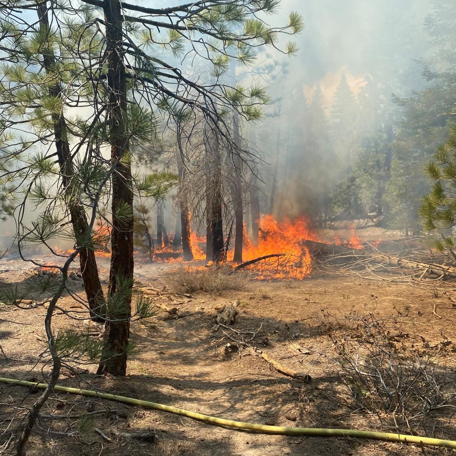 sawmill fire Sierra Wave Eastern Sierra NewsSierra Wave Eastern