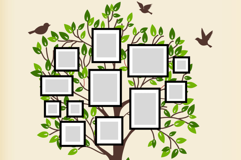 Explore Your Family Tree Sifton Properties