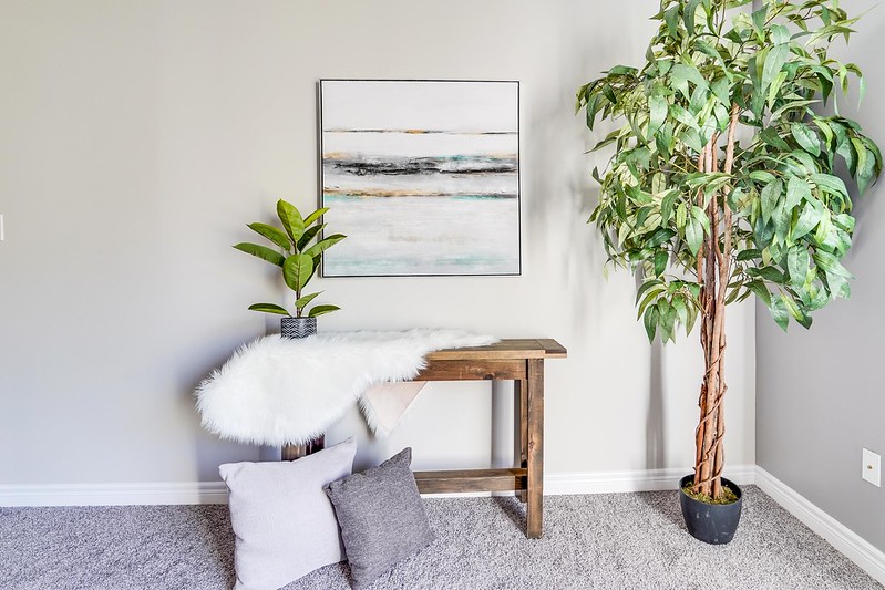 10 Tips for Decorating Your Modern Rental Apartment Sifton Properties
