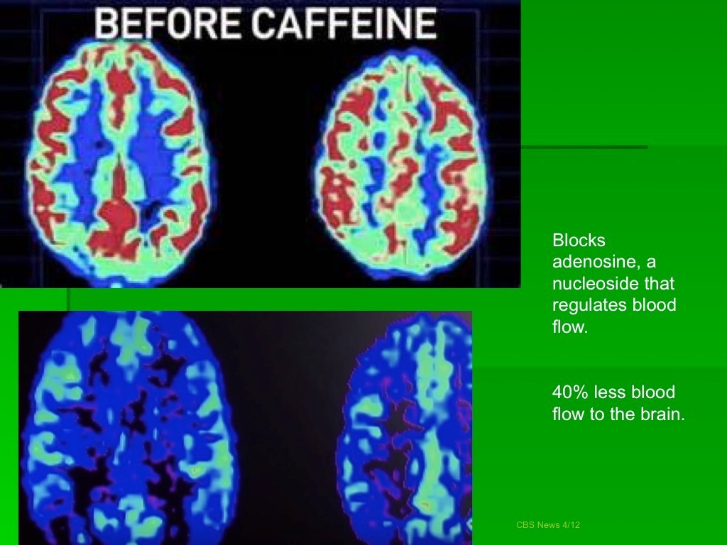 This is your Brain on Coffee Sifu Slim