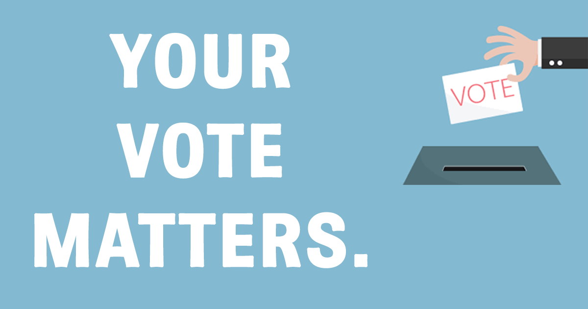 6 reasons to vote this November