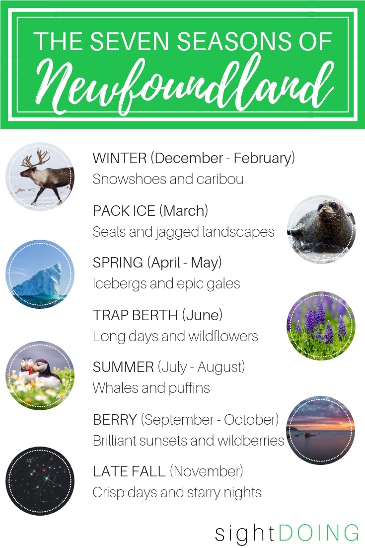 11 Reasons to Visit Newfoundland Canada at Least Once