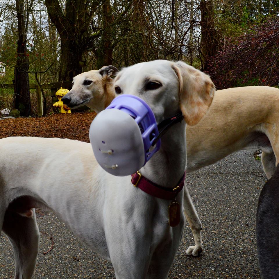 The Scoop on Poop . . . Eating