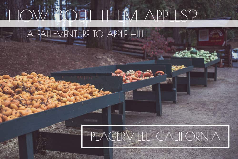 Apple Hill is the Perfect Fall Destination for Adults Sights Better Seen