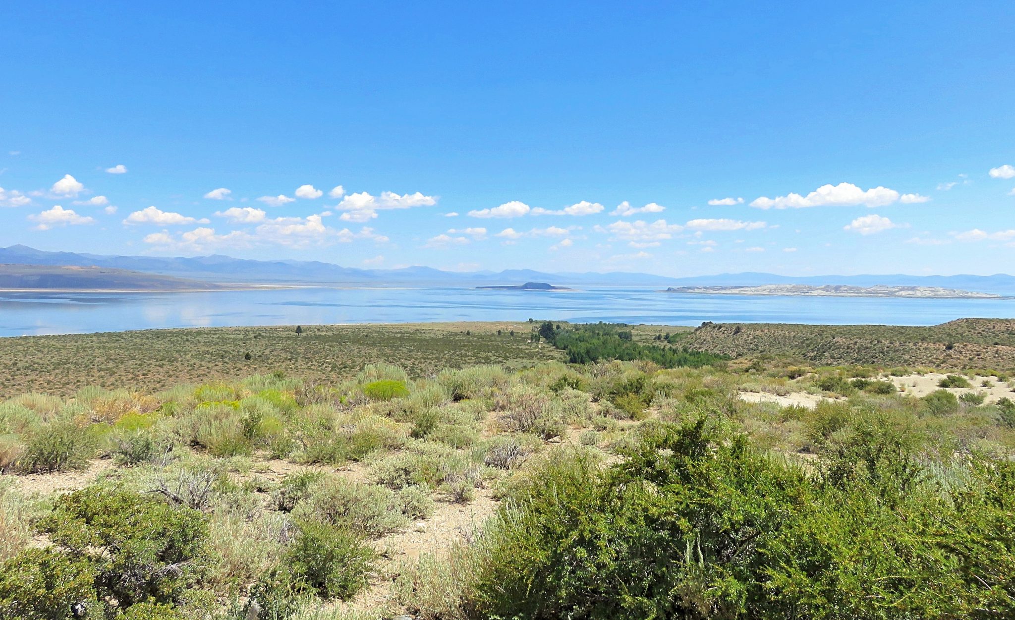 Swimming in Mono Lake, California Sightseeing Scientist