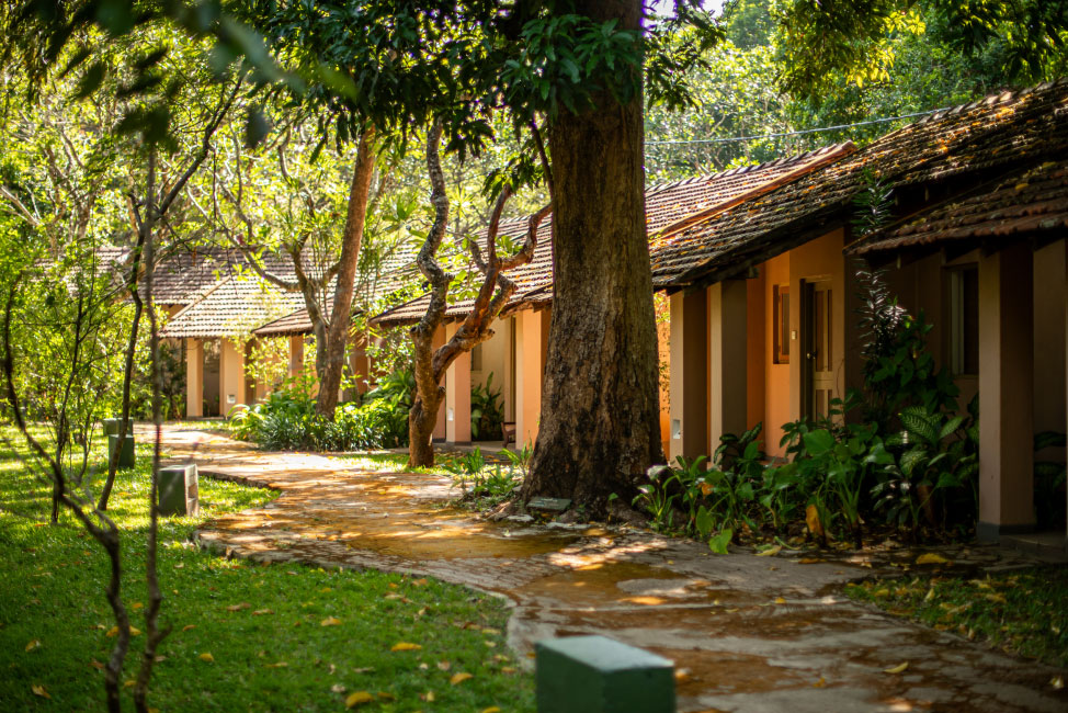 Kingfisher Sigiriya Village Hotel