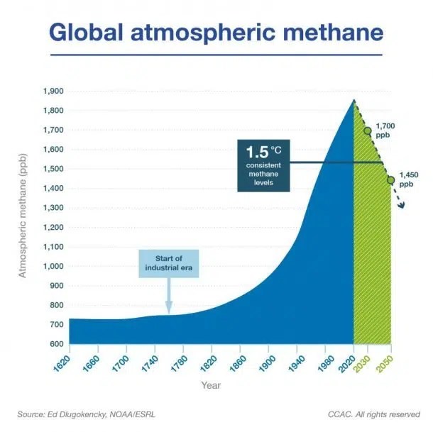 How Can We Reduce Methane Emissions? Sigma Earth