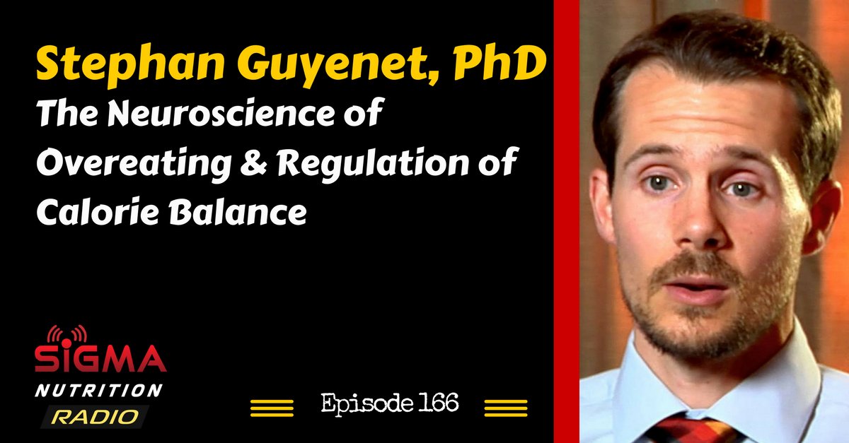 SNR 166 Stephan PhD The Neuroscience of Overeating