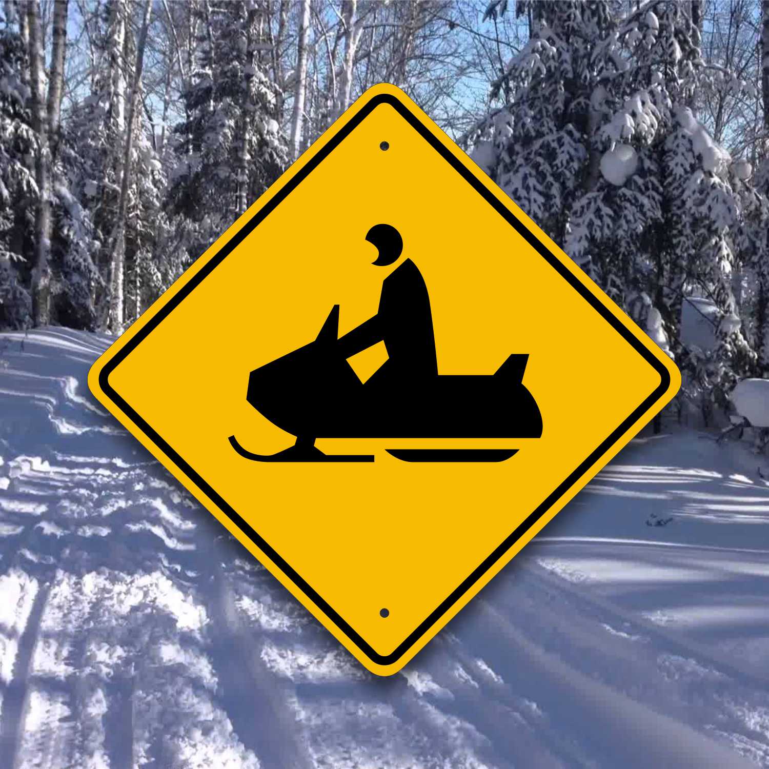 Snowmobile Trail Crossing Sign Sign Lizard
