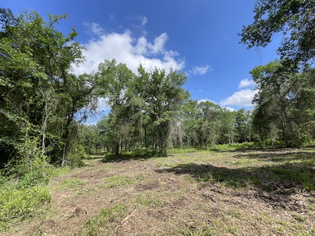 Tract 4 30320 FM 362, Waller, TX 77484 Signature Ranches Realty