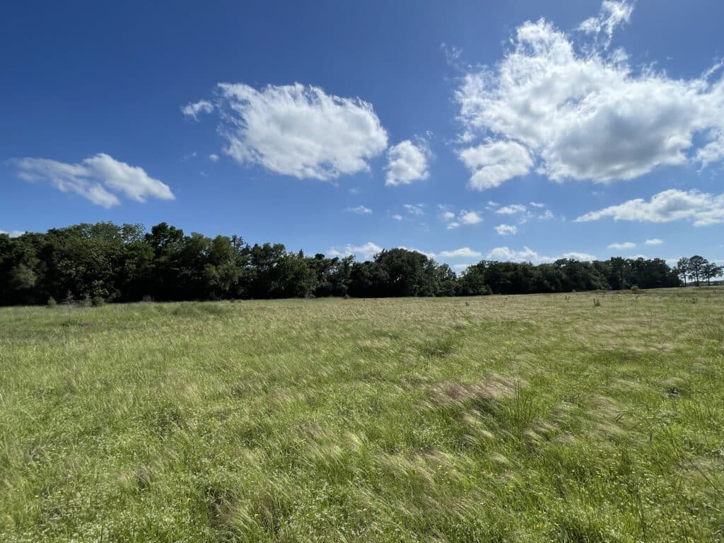 Tract 9 29918 FM 362, Waller, TX 77484 Signature Ranches Realty