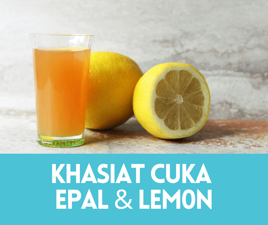 Khasiat Cuka Epal & Lemon Cara Minum Cuka Epal Untuk Kurus • Portal