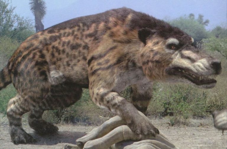 √ 20 Gambar Dinosaurus Terbesar Di Dunia Yang Penah Ada + Video