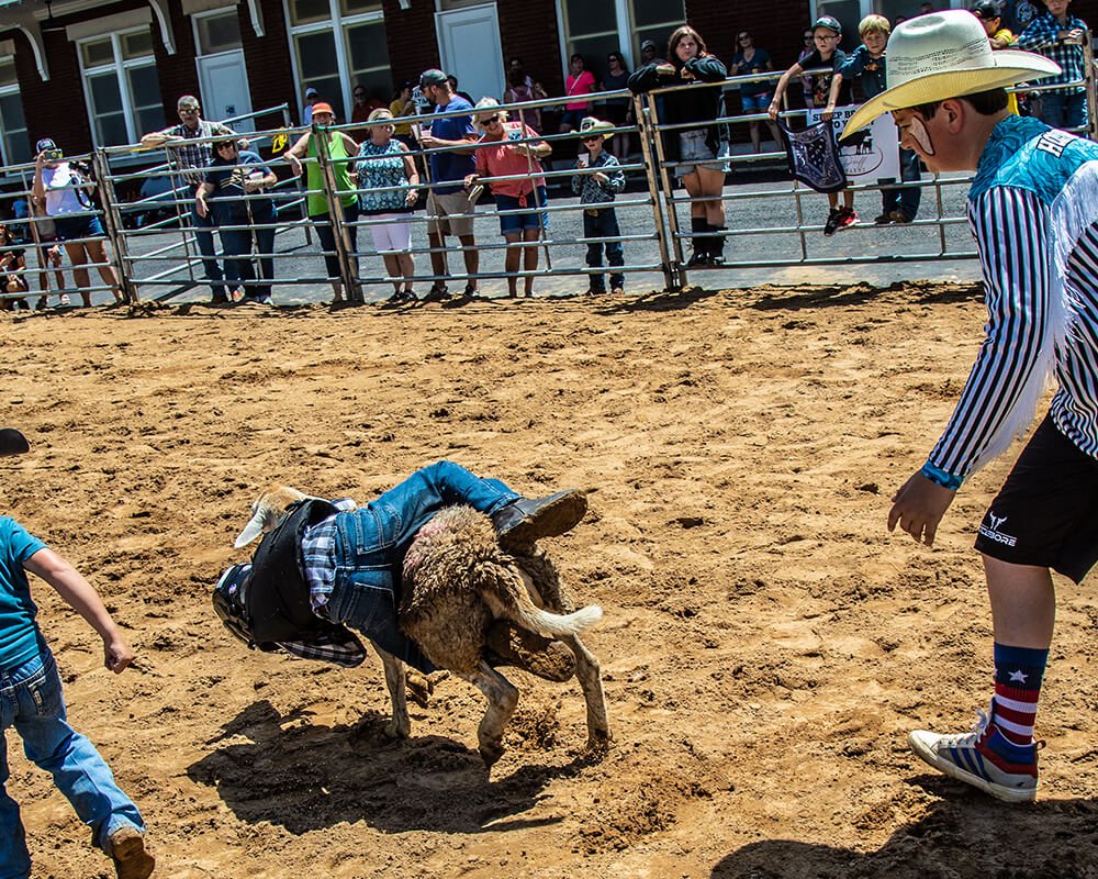 Rodeo 101 Learn the ropes around the events PRCA