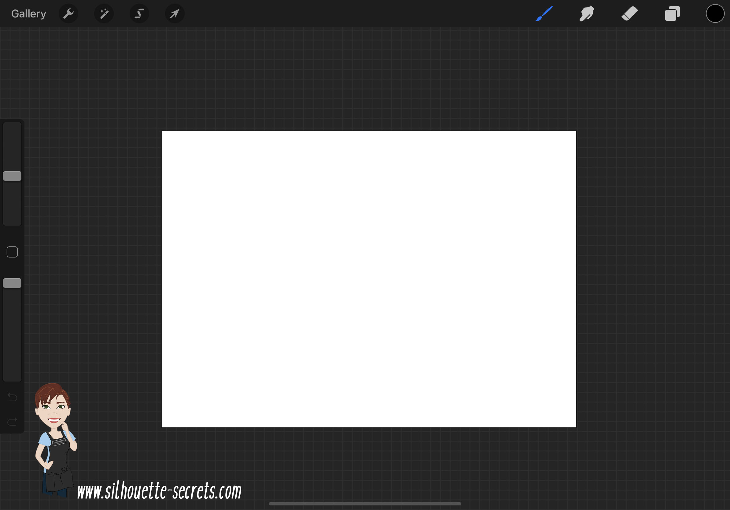 Procreate & Silhouette Basic tutorial Silhouette Secrets+ by Swift Creek Customs