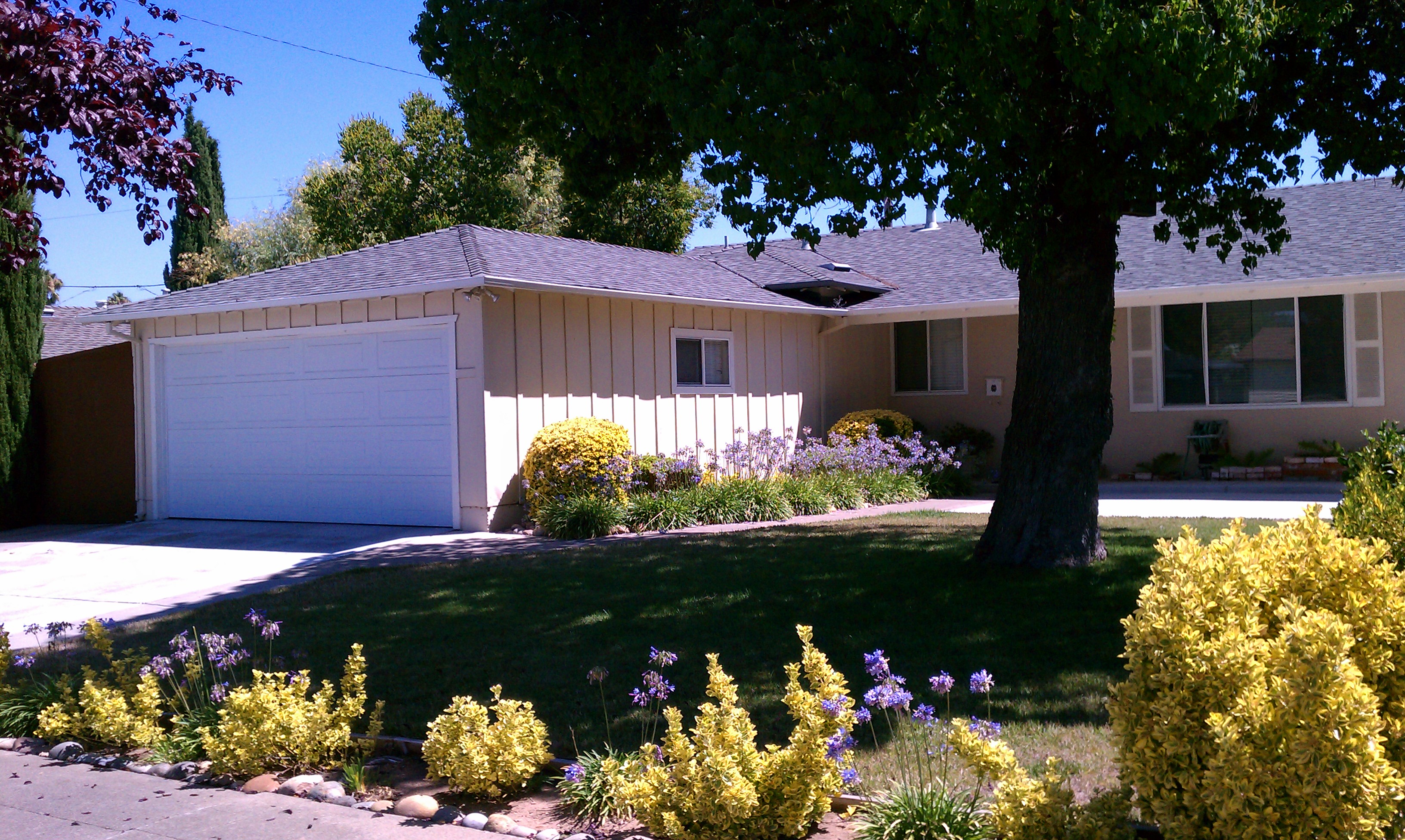 A Remodeled House with added Family Room in West San Jose/Campbell area
