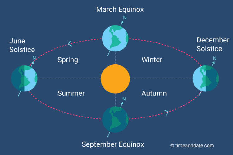 on which day of the week does the summer solstice fall in 2023? equinox Silicon Valley Seeds