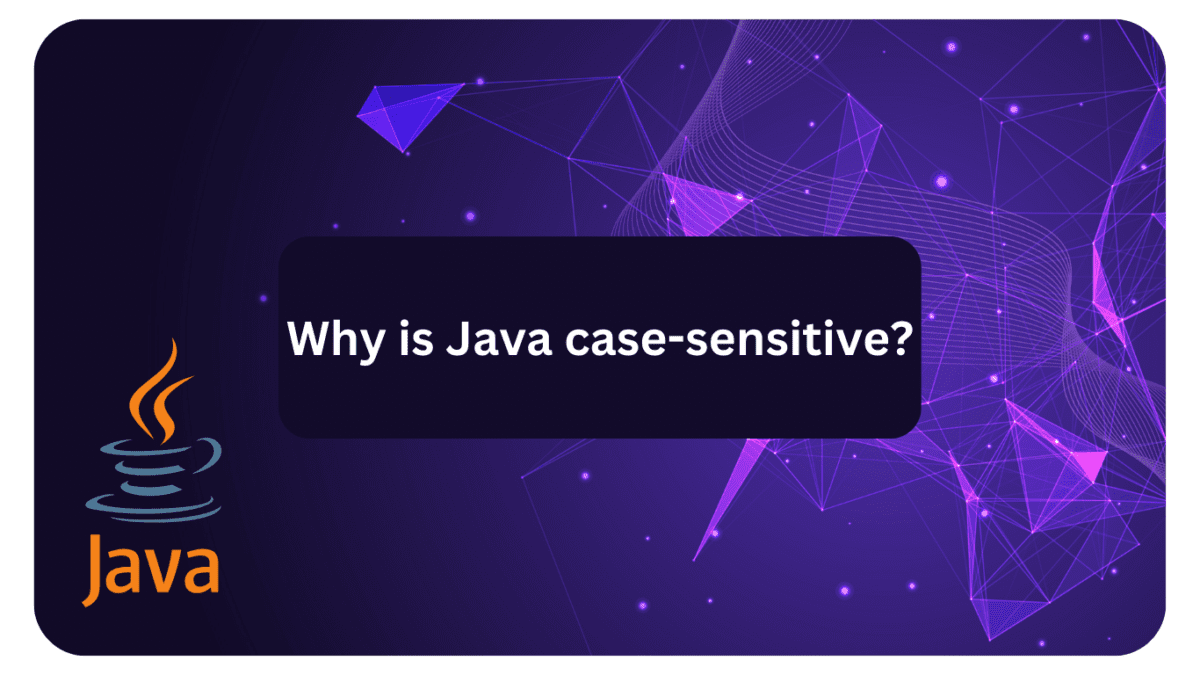 Why is Java casesensitive? Siliconvlsi