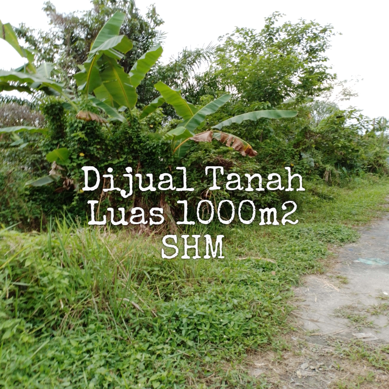 Jual Tanah kebun luas di Tebing Tinggi Sumatera Utara