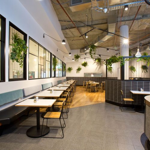 Silk Projects Commercial Design & Construction Specialist