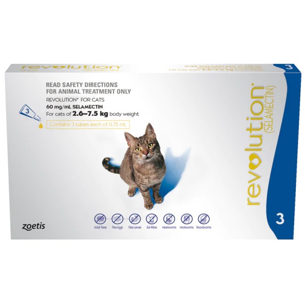 Revolution for cats Ticks, fleas, heartworms and more Silkworm Shop
