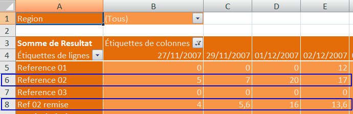 Les tableaux croisés dynamiques dans Excel2007
