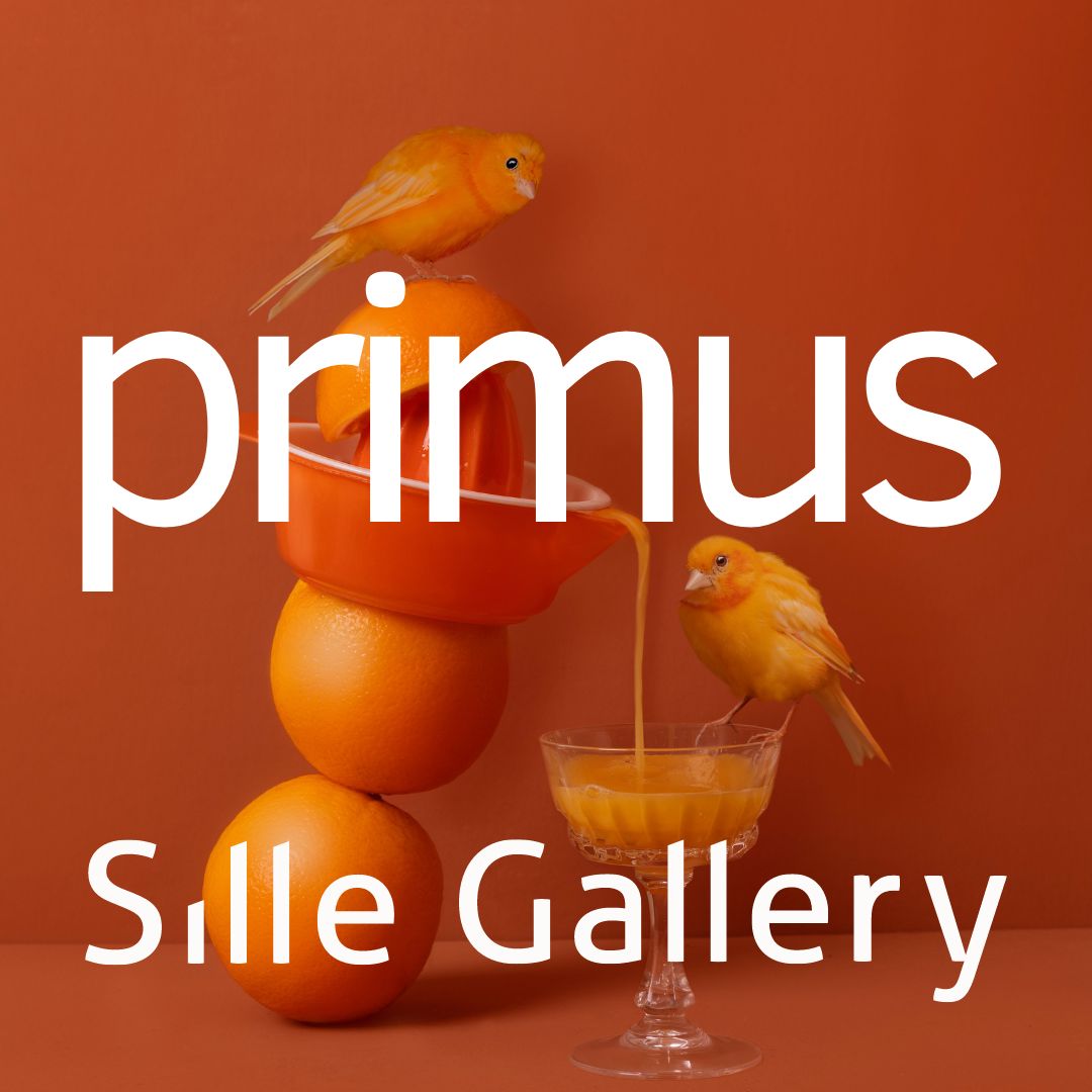 Exhibition Primus (Premiere Exhibition) Sillegallery Oudewater