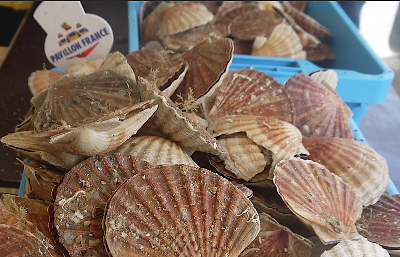 Villard de Lans fêtera la coquille St Jacques... Sillon Auvergne
