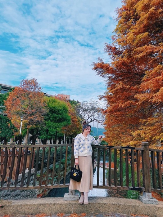 台灣▕  士林官邸落羽松．仿若置身國外的秋冬美景