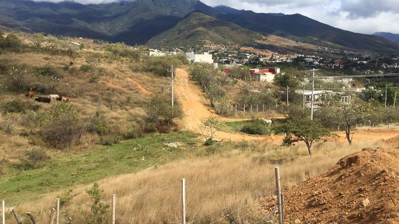 Land in Ejido Guadalupe Victoria