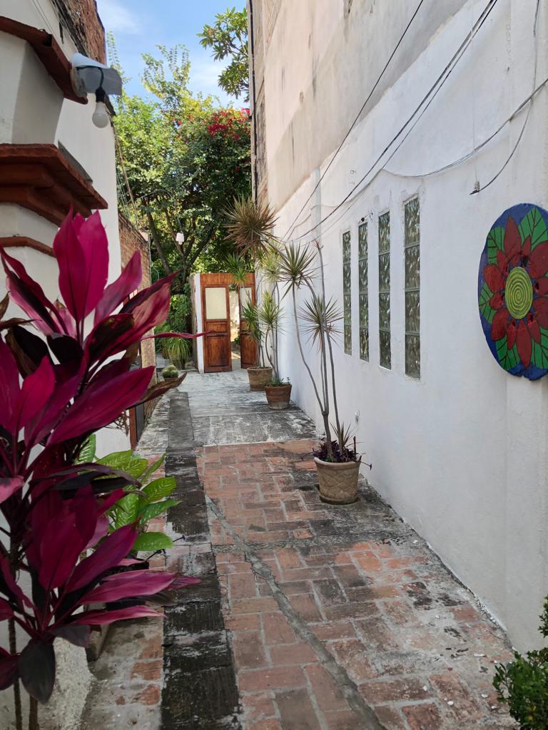 House with nice and homely characteristic for rent in the center of