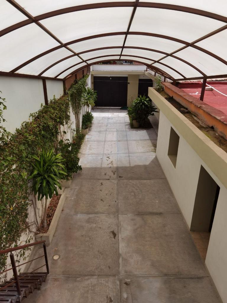 Beautiful apartment for rent in the wonderful town of Tule Oaxaca Real Estate