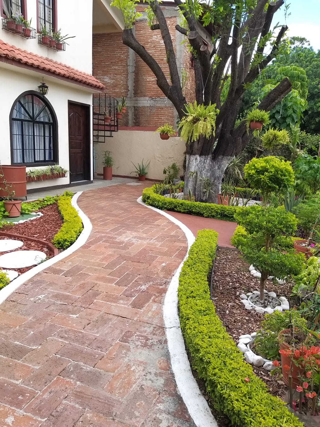 APARTMENT FOR RENT IN COL. REFORMA, OAXACA SILMEXICO REAL ESTATE