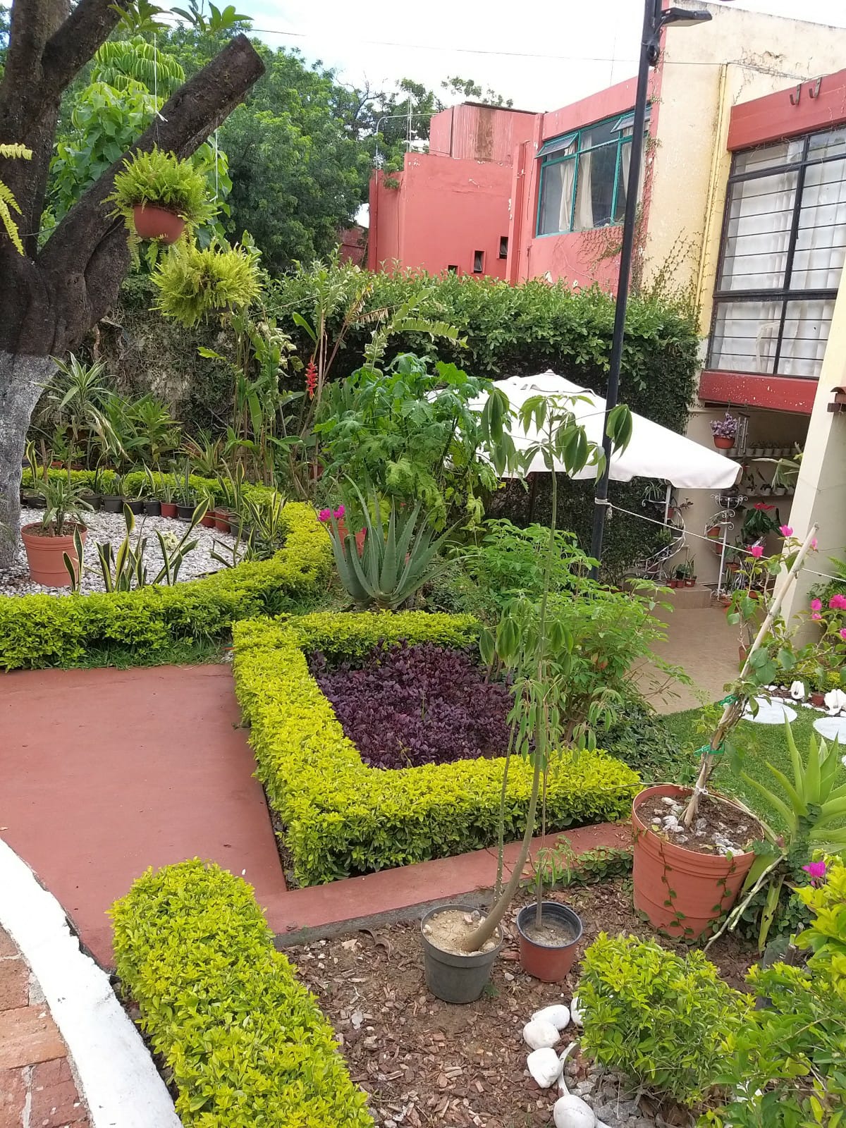 APARTMENT FOR RENT IN COL. REFORMA, OAXACA SILMEXICO REAL ESTATE